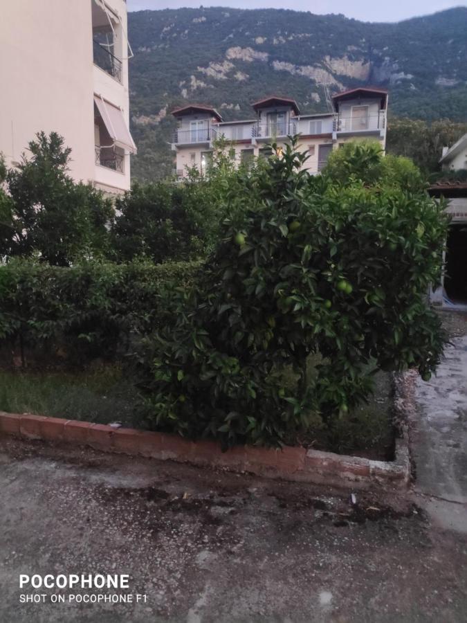 קמנה וורלה Κεντρικό, Άνετο Και Ζεστό Διαμέρισμα מראה חיצוני תמונה