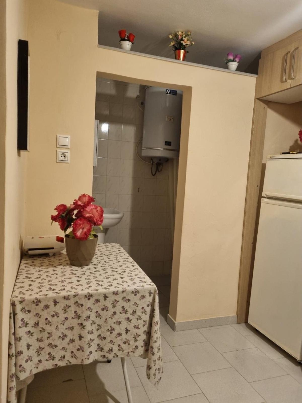 קמנה וורלה Κεντρικό, Άνετο Και Ζεστό Διαμέρισμα מראה חיצוני תמונה
